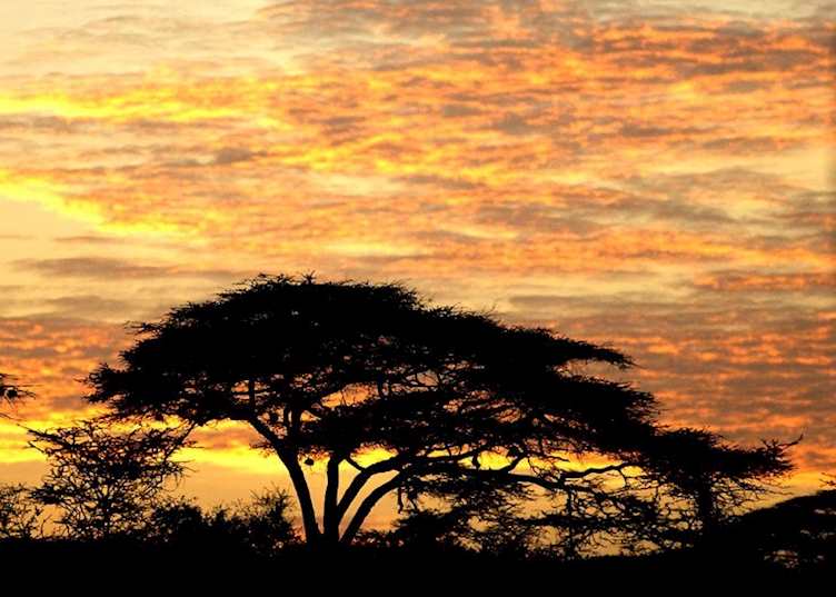 Sunset, Shaba Reserve, Kenya