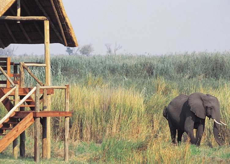 Lebala Camp, Kwando Concession