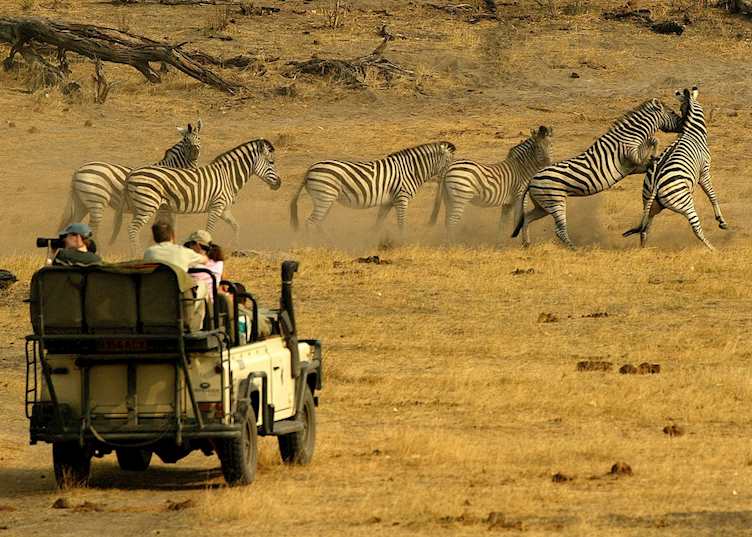 Game drive in the Linyanti Concession