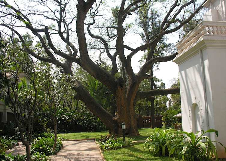 Grounds Taj West End Hotel, Bangalore