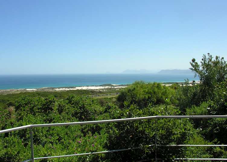View from reception, Grootbos Private Nature Reserve