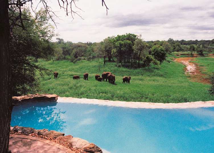 Pool, Garonga Safari Camp