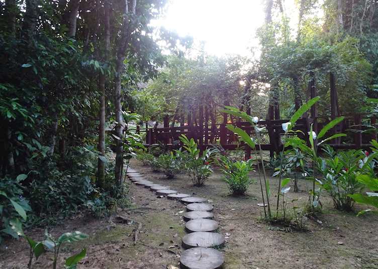 Posada Amazonas