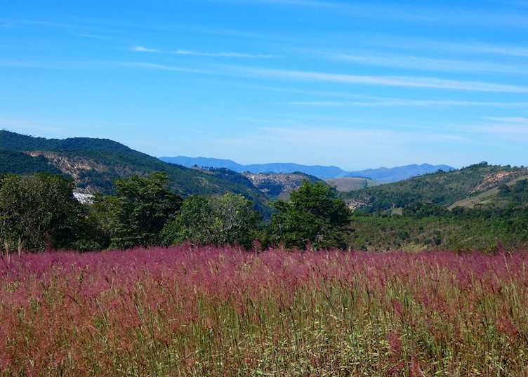 Landscapes at Ibiti Project
