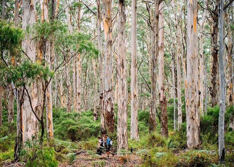The Margaret River region, Western Australia