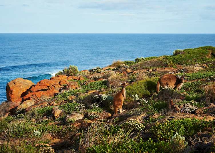 The Margaret River region