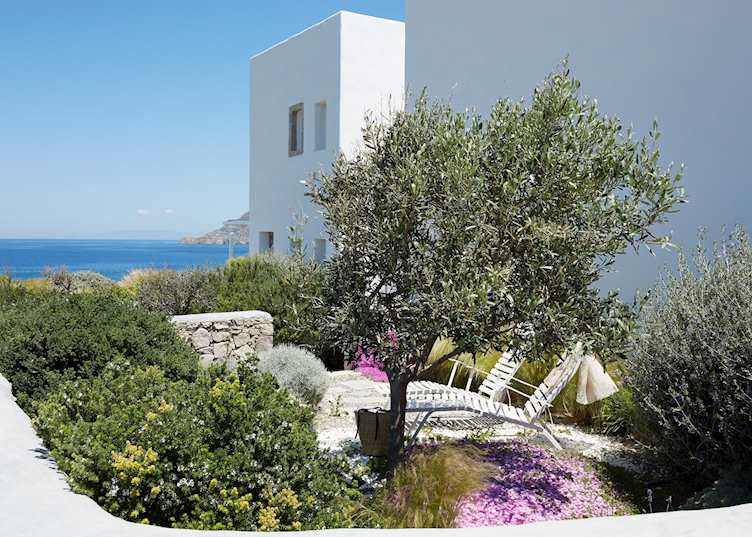 Milos Breeze Boutique Hotel, Pollonia