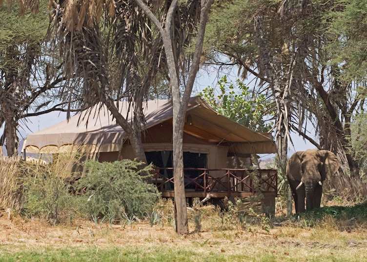 Tent at Elephant Bedroom Camp