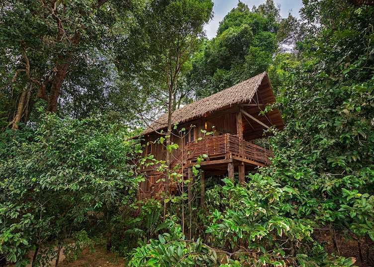 Wa Ale Resort Treehouse
