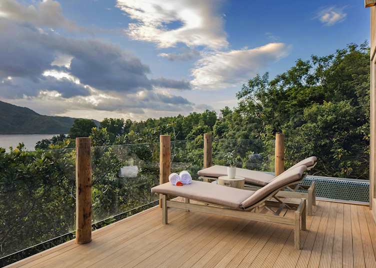 Treetop pool villa