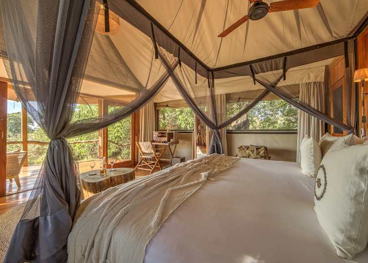 Kanana Camp, Nxabega Concession