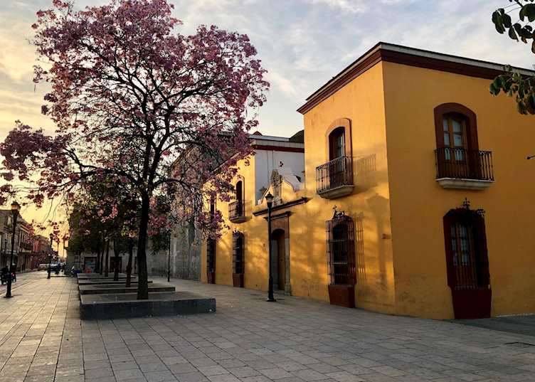 Oaxaca