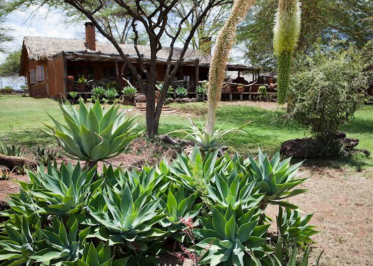 Grounds at Lewa Safari Camp