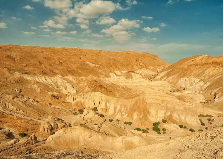 Mountains of the Negev Desert