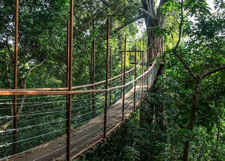 The Datai Langkawi - Canopy Walk 