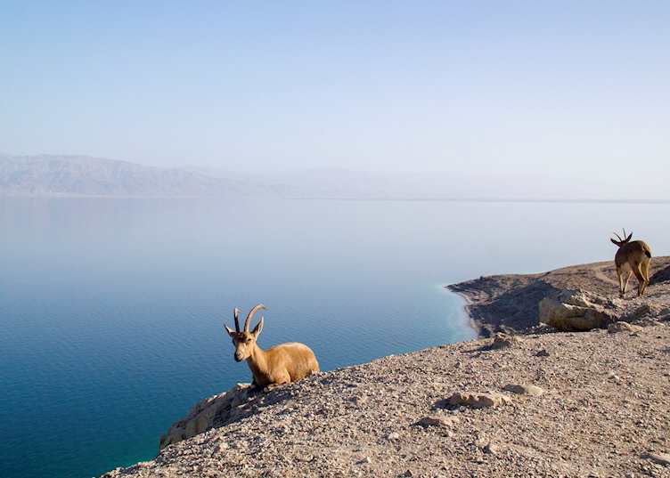 Dead Sea, Israel