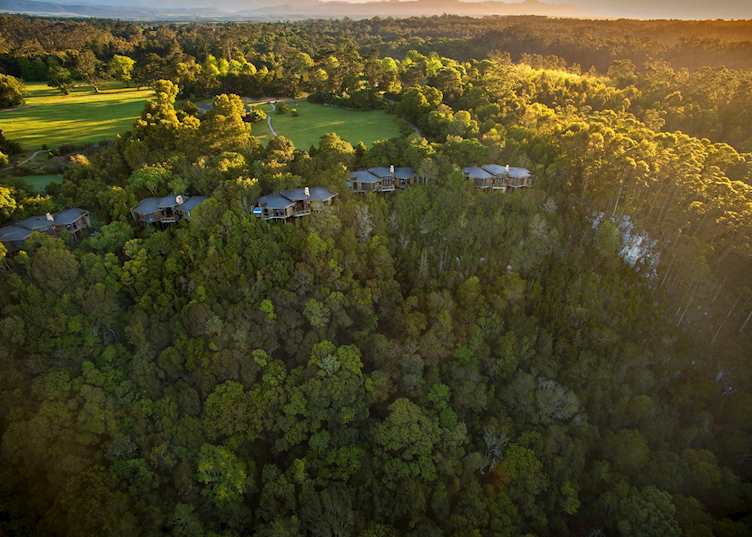 Tsala Treetop Lodge, Plettenberg Bay