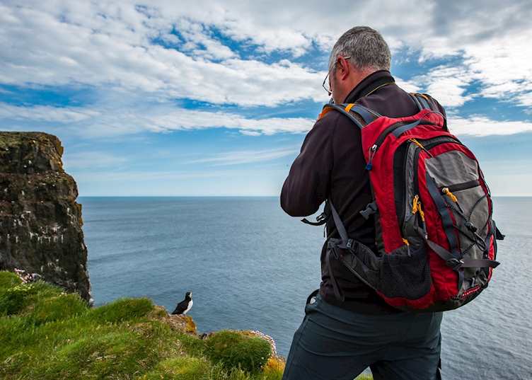Puffin watching