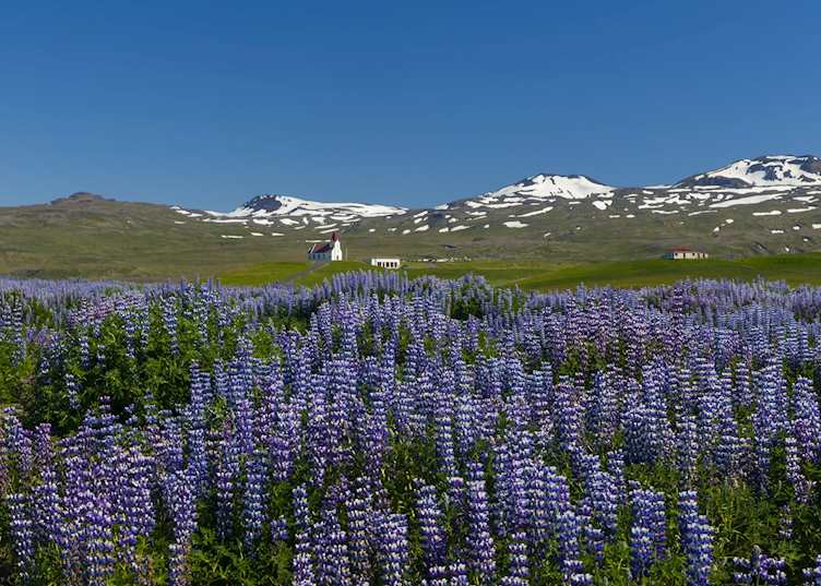East Iceland