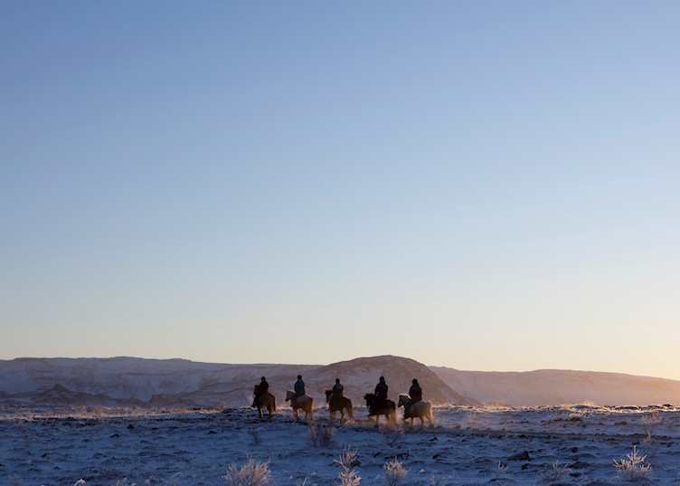 Horse riders in Iceland