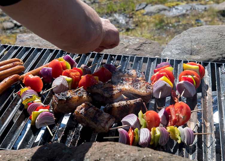 BBQ picnic lunch