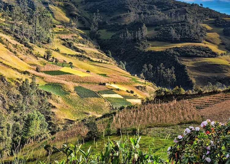 Loja