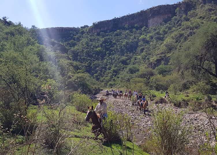 Canyon, San Miguel de Allende