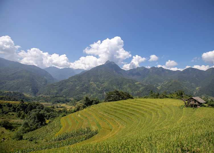 Nam Toong view