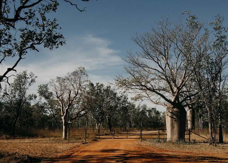 Kununurra to Bullo River Station self drive