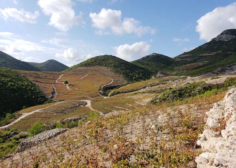 Miloš winery, Croatia