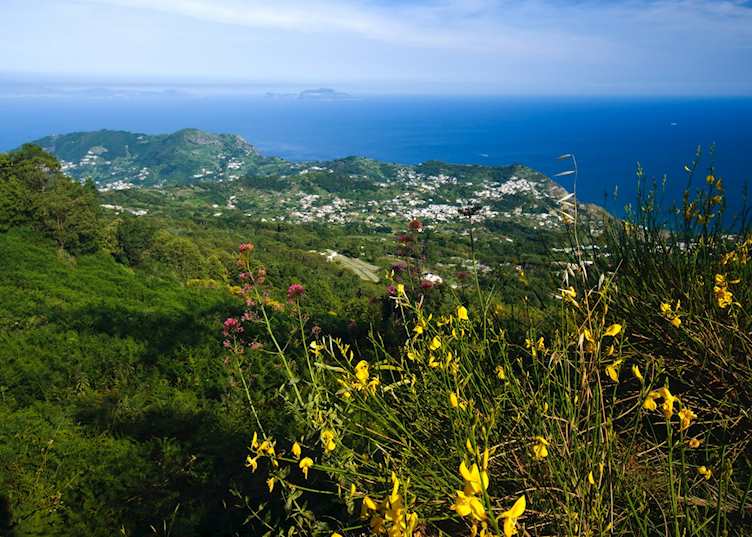 Views over Forio, Ischia