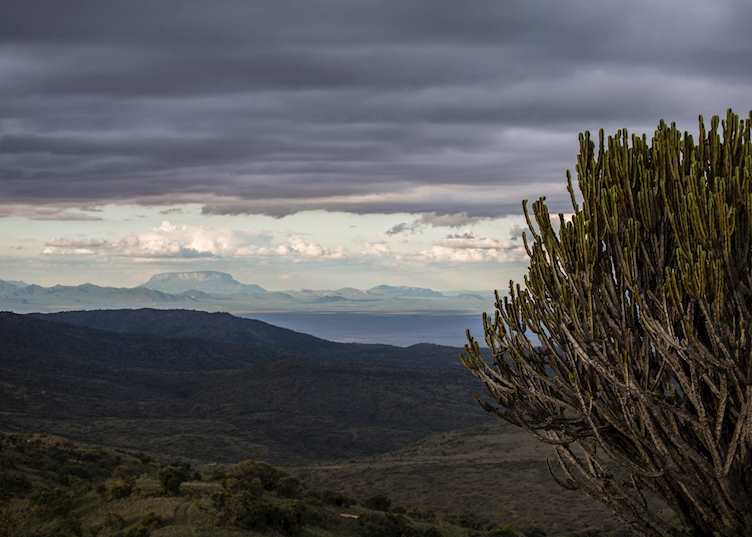 Views north from Borana 