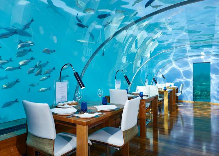 Ithaa Undersea Restaurant, Conrad Maldives Rangali Island
