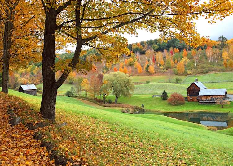 Woodstock in the fall