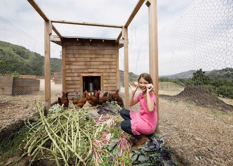 Hen house, Carmel Valley Ranch