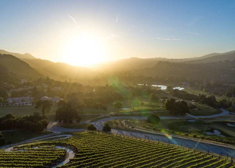 Vineyard overview, Carmel Valley Ranch