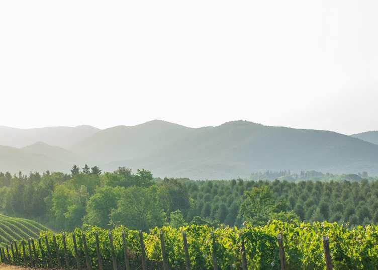 La Rioja, Spain