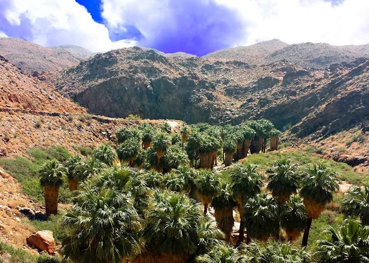 Palm Springs Overhead view of Palm Canyon