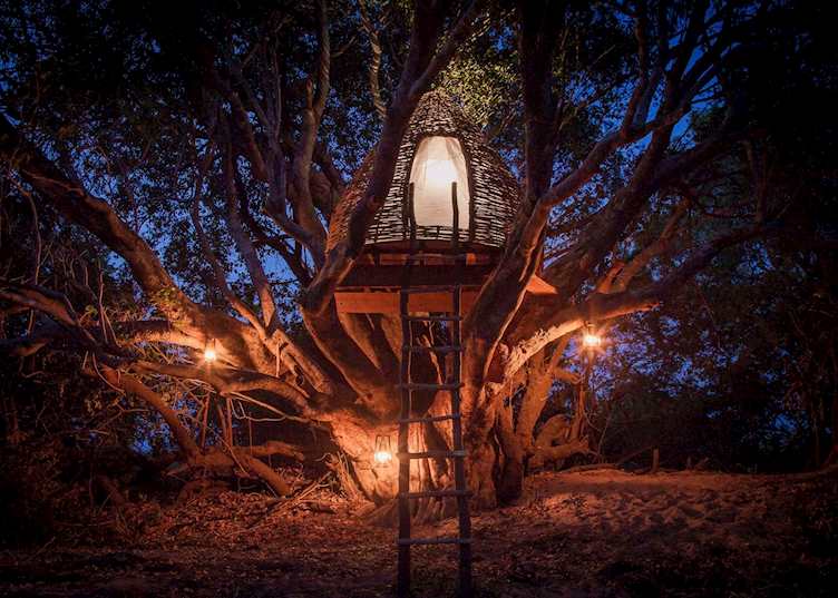 Tonga Basket Treehouse, KaingU Safari Lodge, Kafue National Park