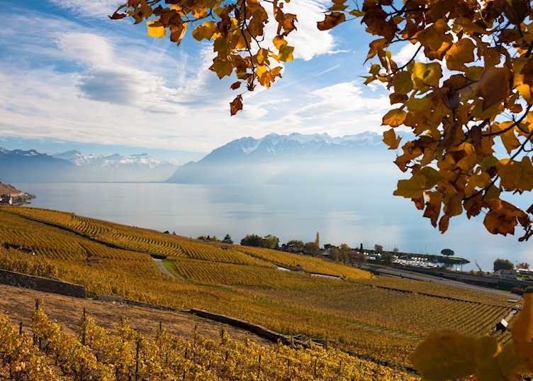 Lavaux wine tour, Montreux
