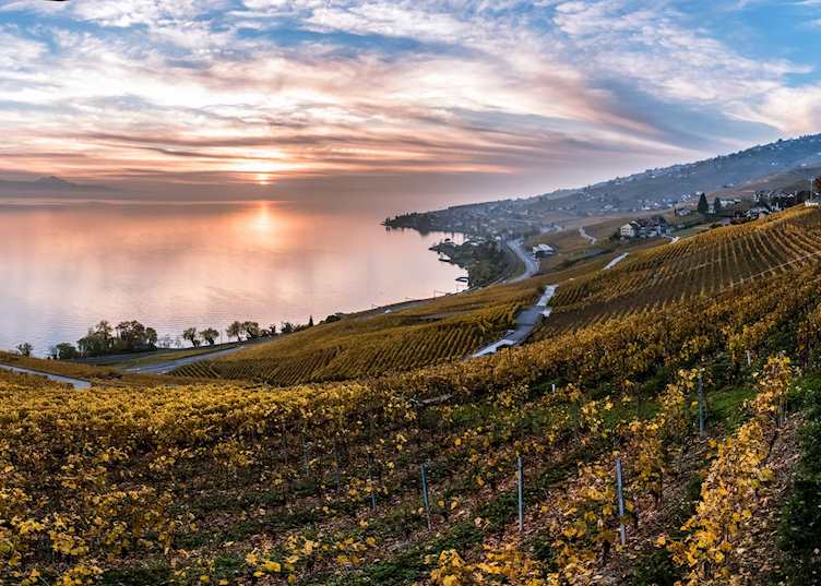Lavaux wine tour, Montreux