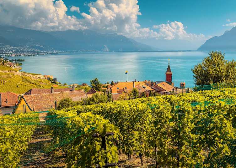 Lavaux wine tour, Montreux
