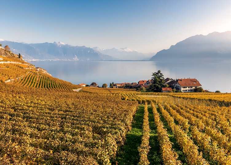 Lavaux wine tour, Montreux