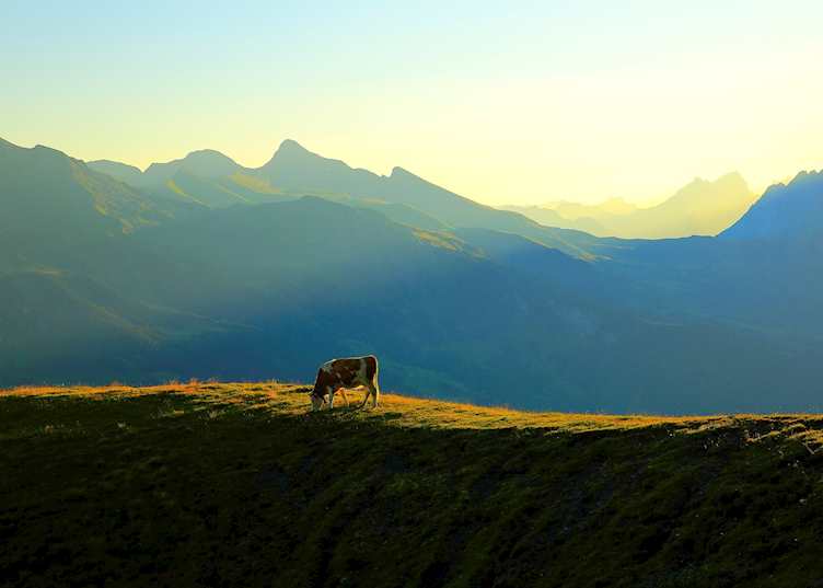 Grindelwald, Bernese Oberland