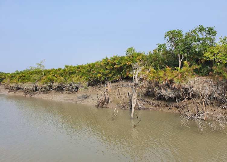 The Sundarbans