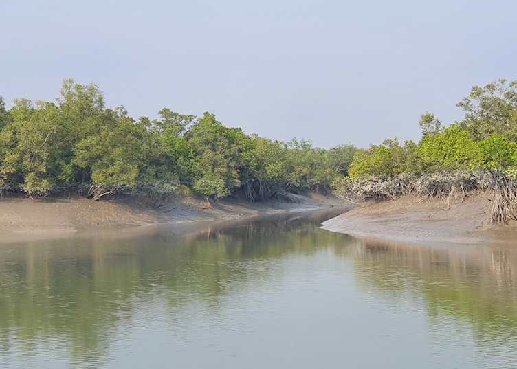 The Sundarbans
