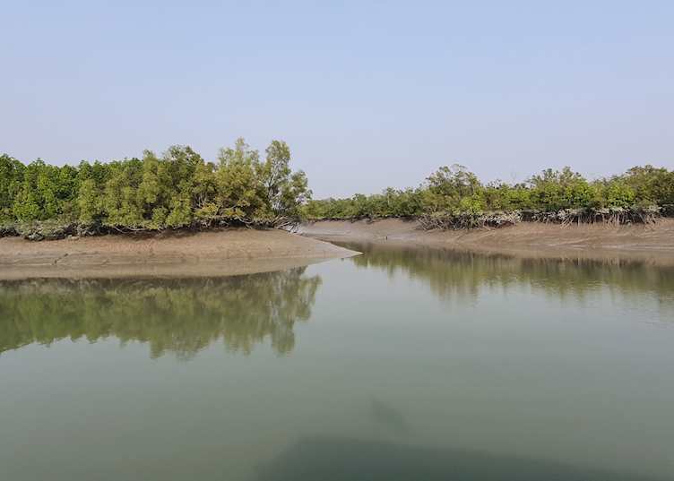 The Sundarbans
