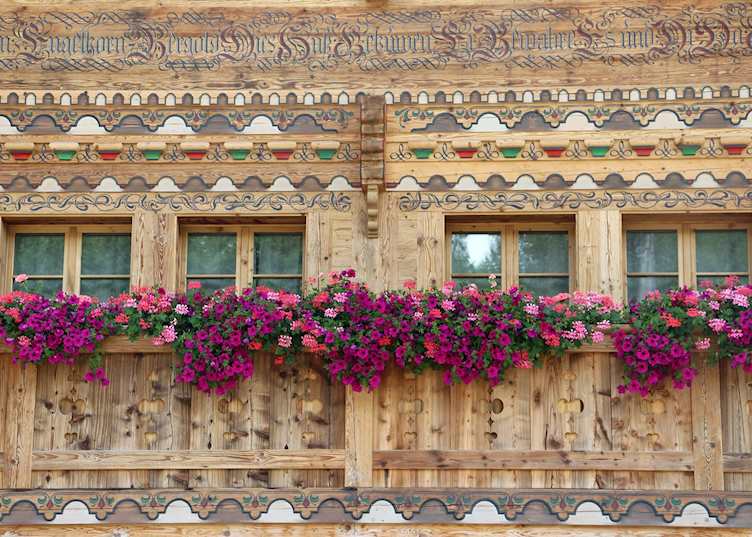 Geranium boxes on a wooden chalet