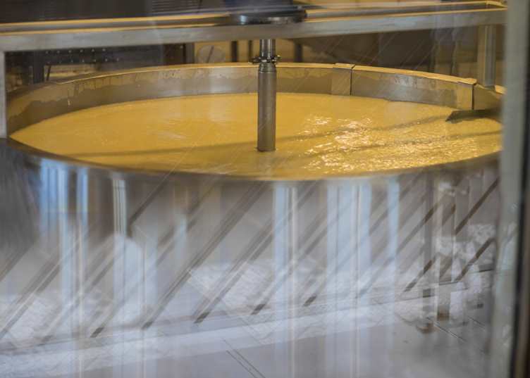 Stirring milk for cheese production