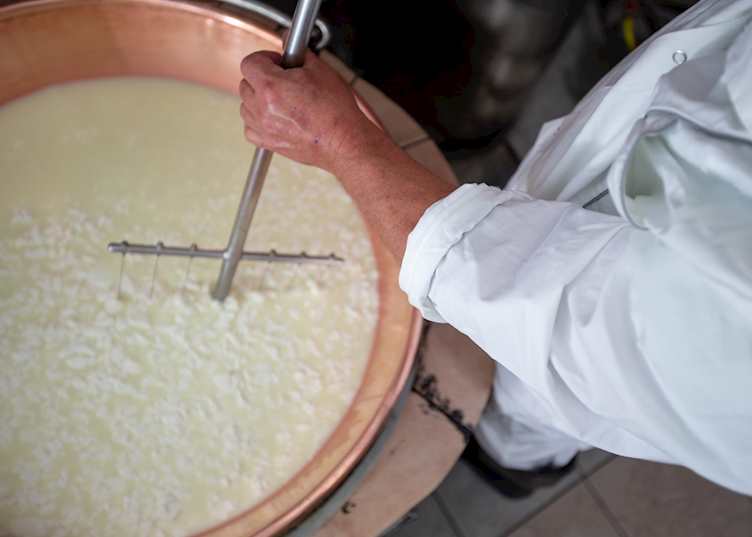 Traditional cheese making